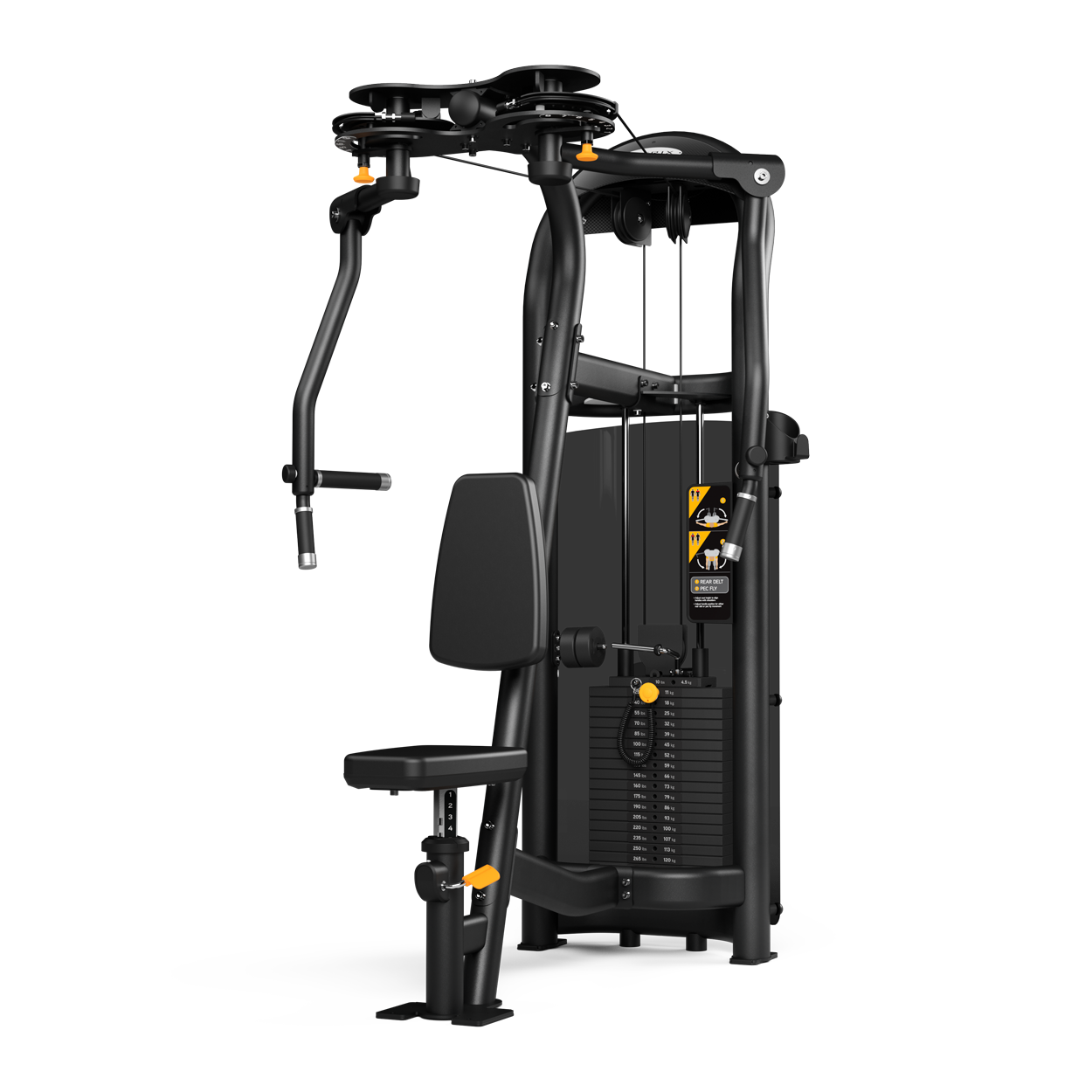 G3-S22-03 Rear Delt