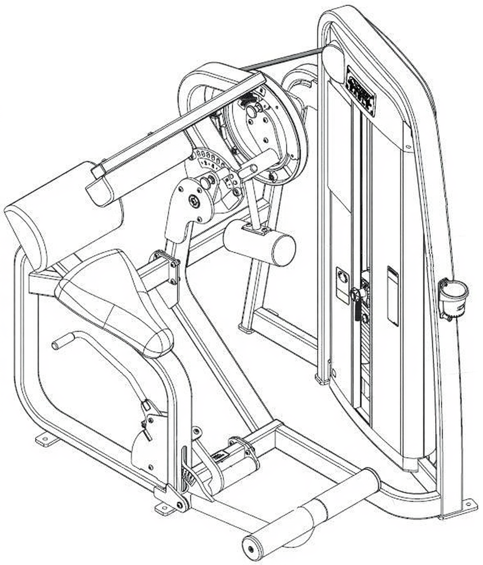 Back Extension