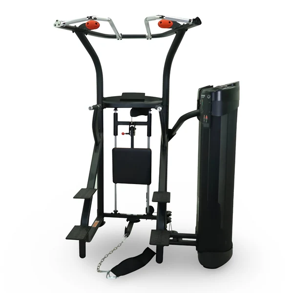 Chin-Up and Dip Dual machine