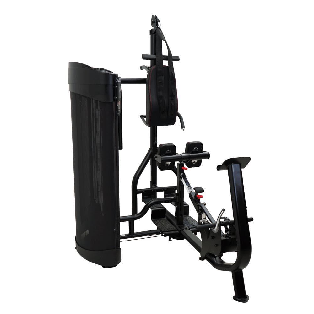 Commercial Ab and Back Dual