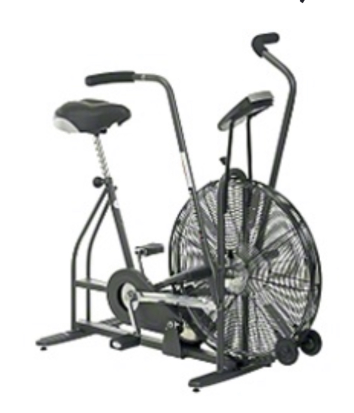 schwinn airdyne bike for sale