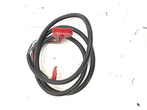 MAIN WIRE