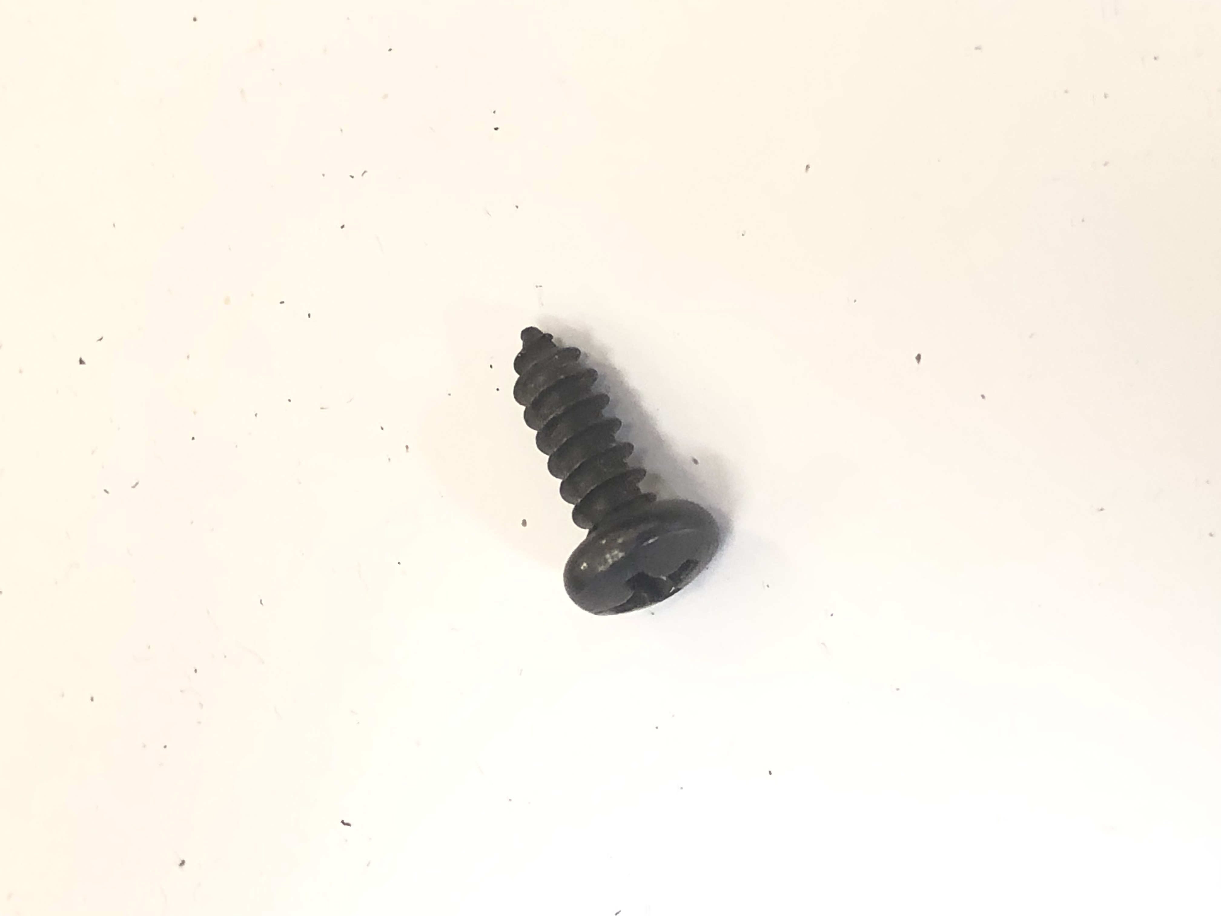 Hardware: Phillips Screw  0.5