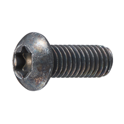 Hardware: TORX Screw  25 MM