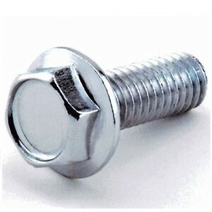 FLANGE SCREW