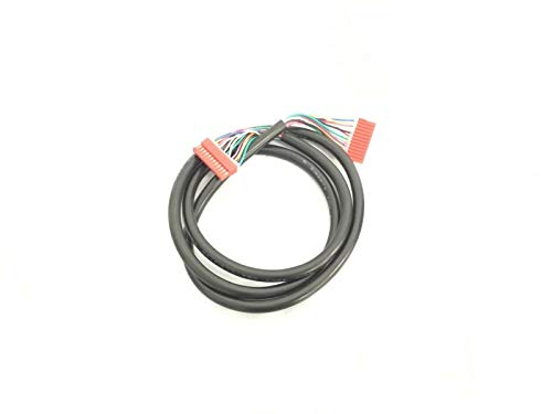 MAIN WIRE