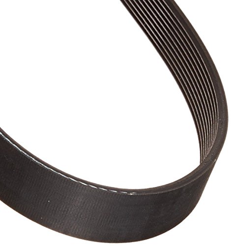 Belt, Poly-V 240 J10