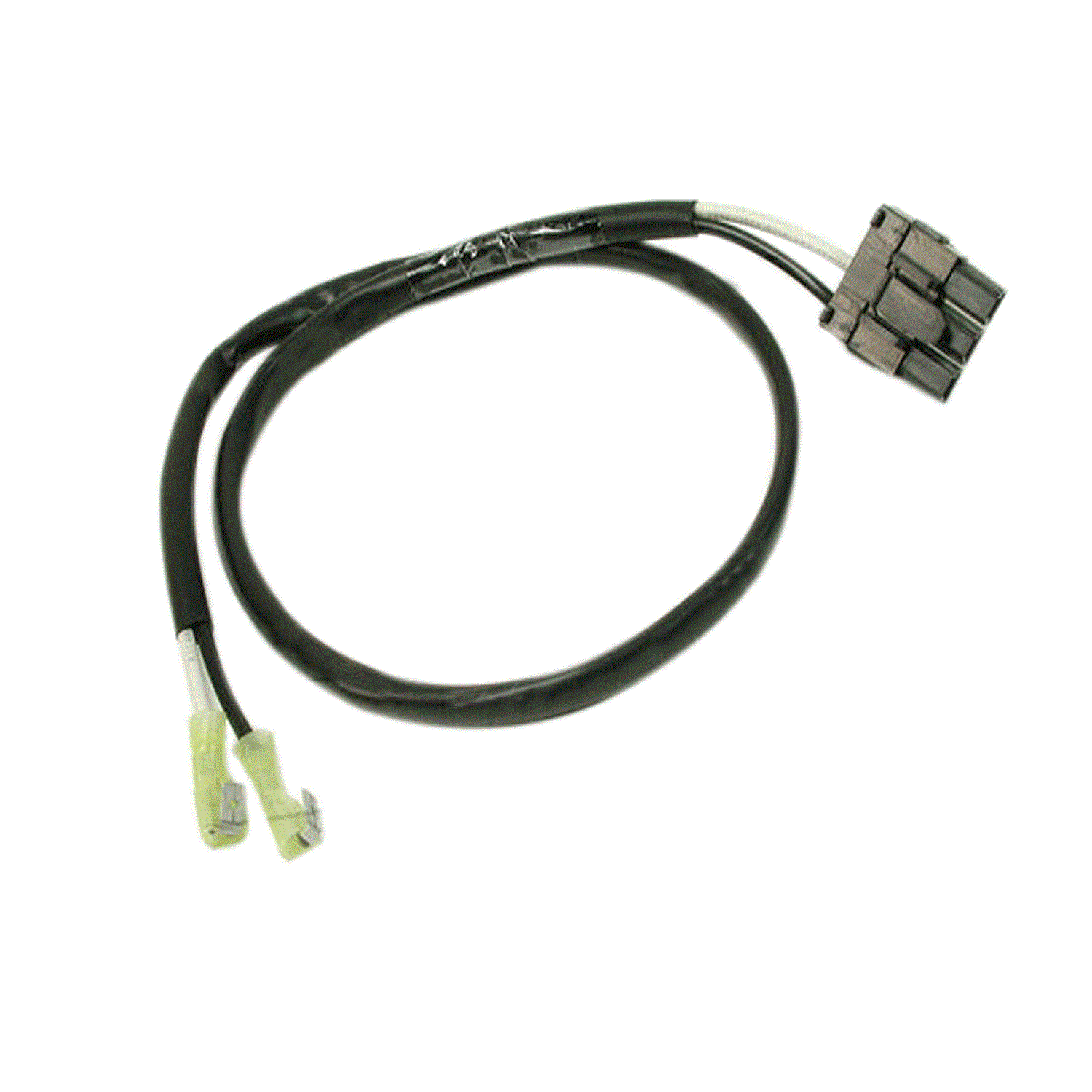 Power Cable Assembly: 100-120V