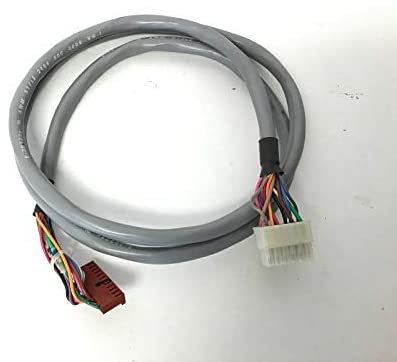 Main Wire Harness (used)