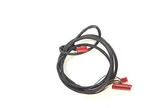 Lower Wire Harness (Used)