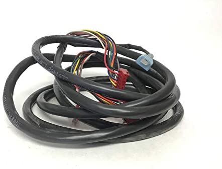 Main Wire Harness (Used)