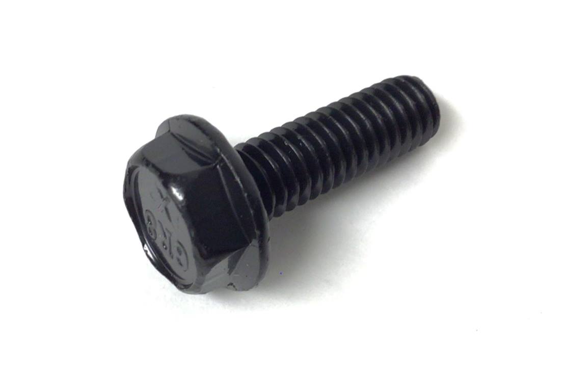 FLANGE SCREW