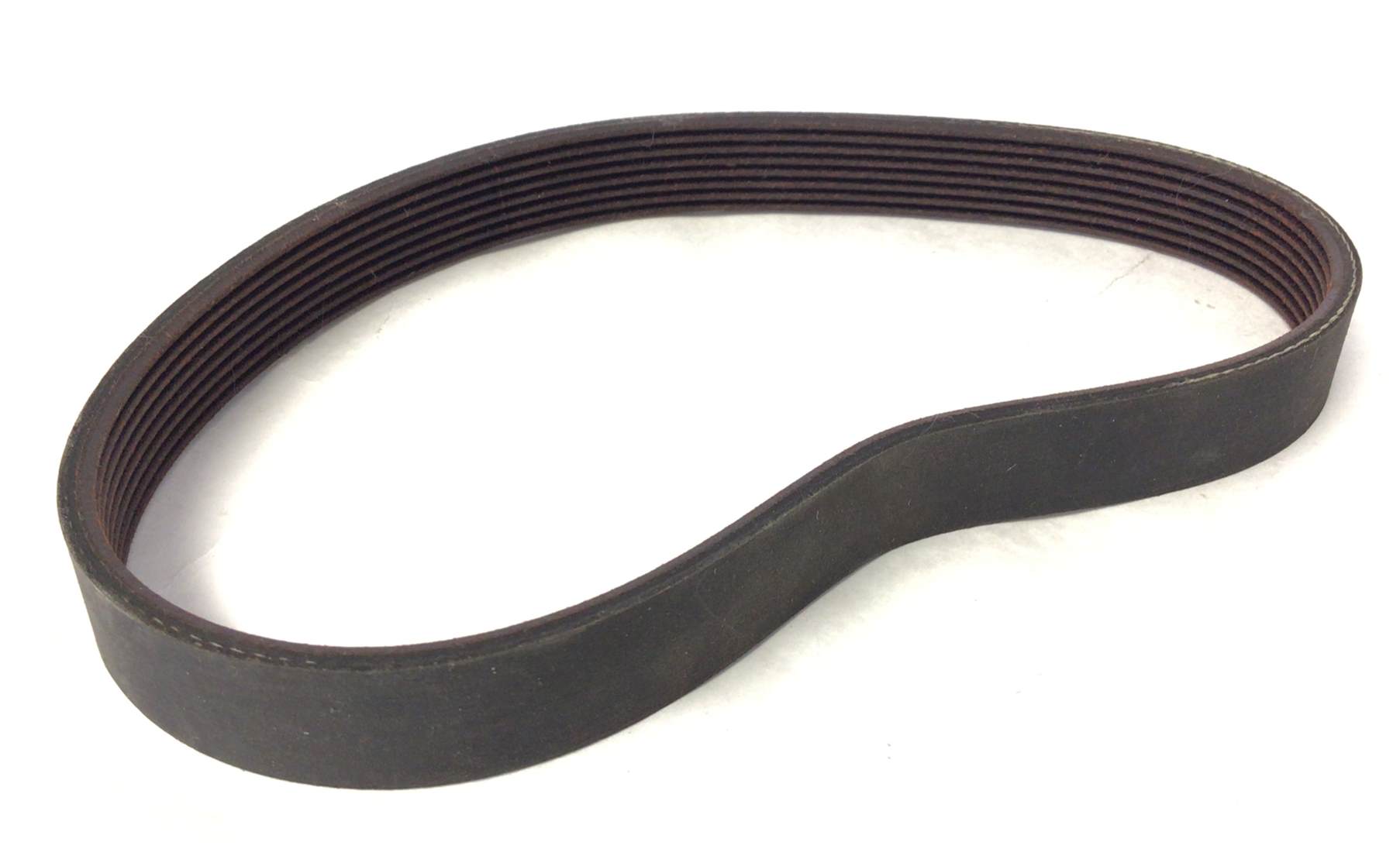 19 Inch Motor Belt