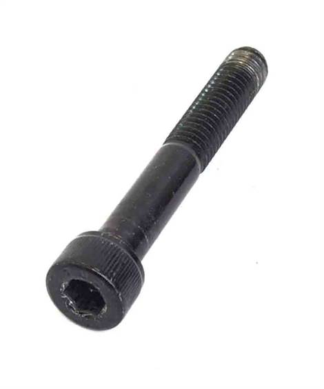 Screw Socket Head M8-1.25-55mm (Used)