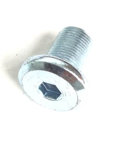 M12 CRANK SCREW