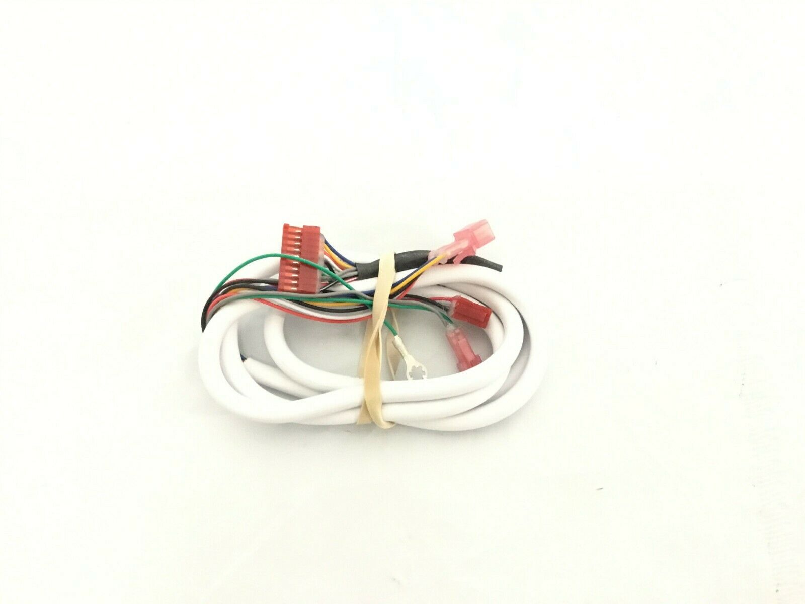 Main Wire Harness