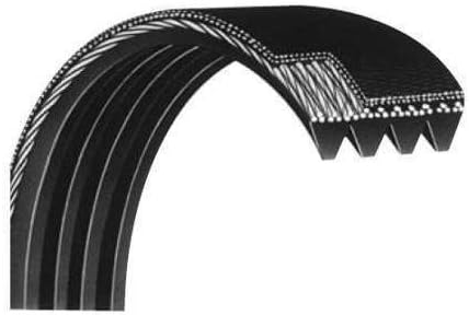 Motor Drive Belt Poly