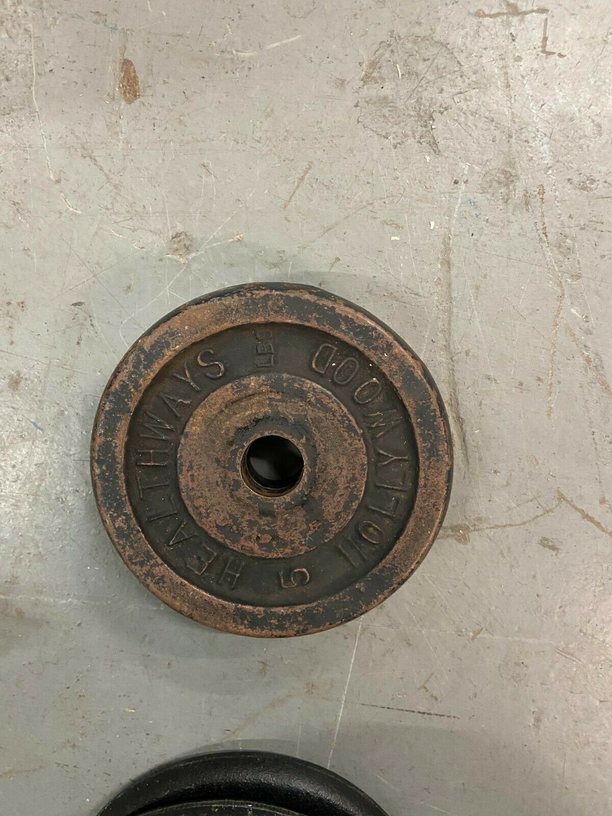 Healthways 5LB Standard Weight Plate for Home Gym (Used)